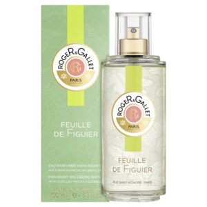 Feuille de Figuier Well-being Water 100ml
